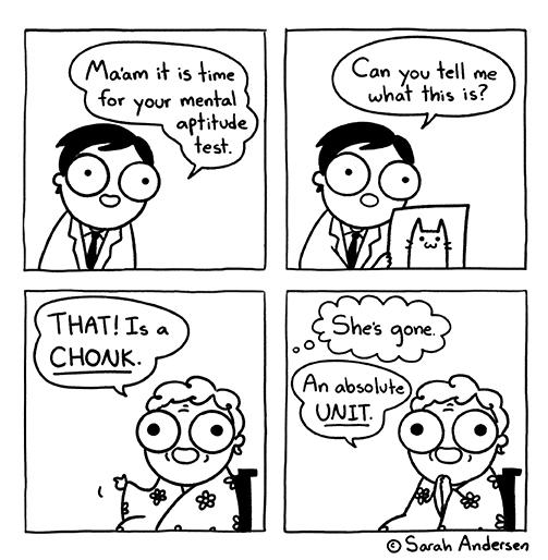 Ma'am it is time Can tell me you what this is? for mental your aptitude test. THAT! Is a CHONK. She's gone. An absolute UNIT. © Sarah Andersen