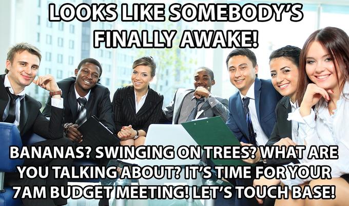 LOOKS LIKE SOMEBODY'S FINALLY AWAKE! BANANAS? SWINGING ON TREES? WHAT ARE YOU TALKING ABOUT? IT'S TIME FOR YOUR 7AM BUDGET MEETING!LET'S TOUCH BASE!
