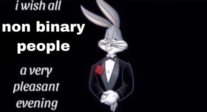 i wish all non binary people a very pleasant evening