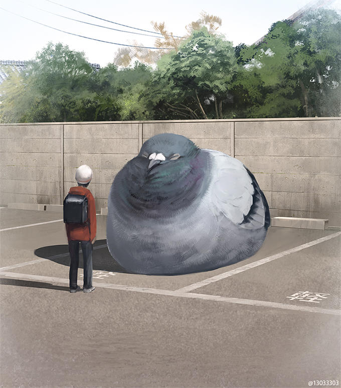 Parked Pigeon | Birds | Know Your Meme