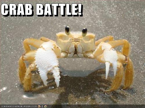 CRAB BATTLE! ICANHASCHEEZBURGER.COM