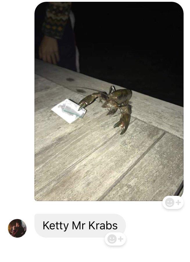 +1 Ketty Mr Krabs