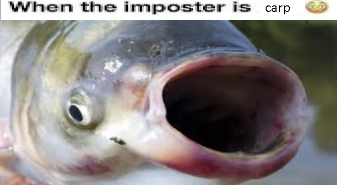 When the imposter is carp