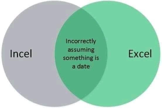 Incorrectly assuming Incel Excel something is a date