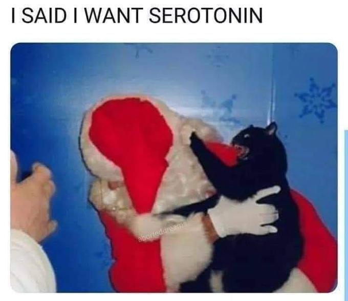 I SAID I WANT SEROTONIN anorteddreams