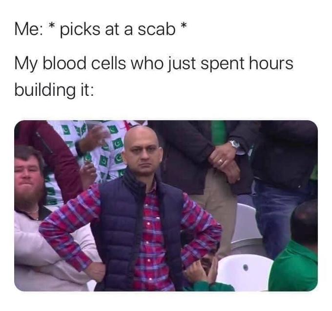 Me: * picks at a scab My blood cells who just spent hours building it: