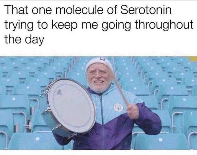 That one molecule of Serotonin trying to keep me going throughout the day