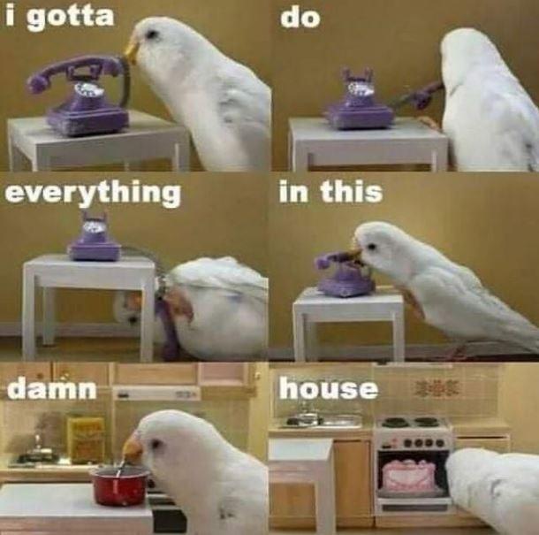 i gotta do everything in this damn house E