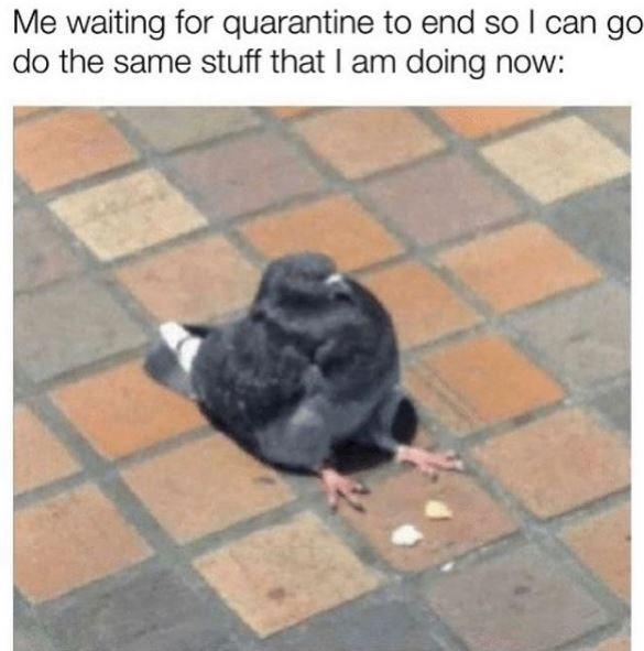 Me waiting for quarantine to end so I can go do the same stuff that I am doing now: