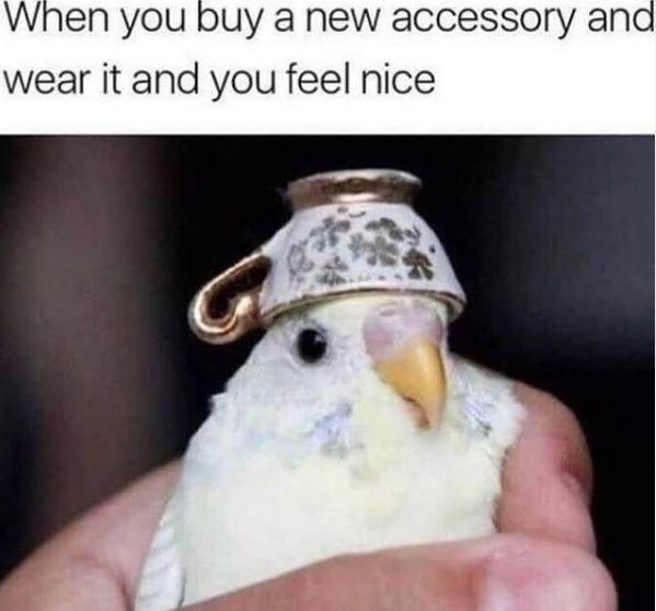 When you buy a new accessory and wear it and you feel nice