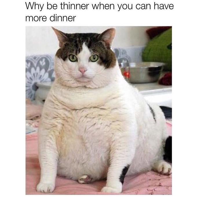 Why be thinner when you can have more dinner