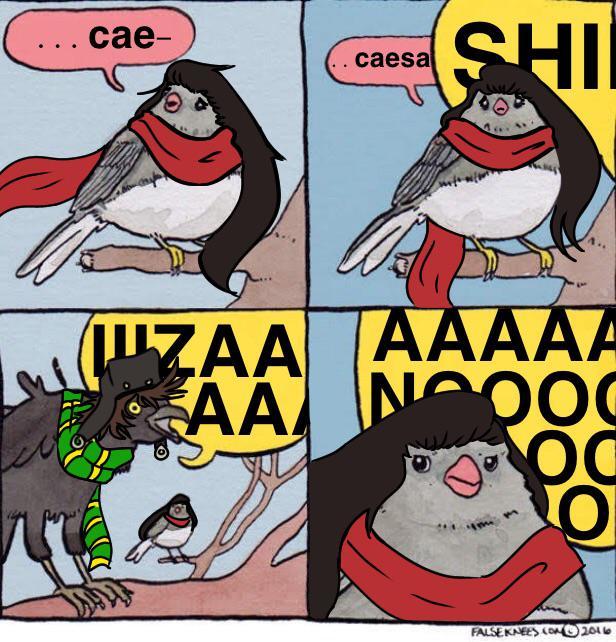 SHI cae- caesa ZAAAAAA AA NOO0 FALSEKNEES CONO201le