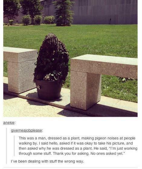 anekie: givemealobplease: This was a man, dressed as a plant, making pigeon noises at people walking by. I said hello, asked if it was okay to take his plcture, and then asked why he was dressed as a plant. He said, "I'm just working through some stuff Thank you for asking. No ones asked yet." I've been dealing with stuff the wrong way.