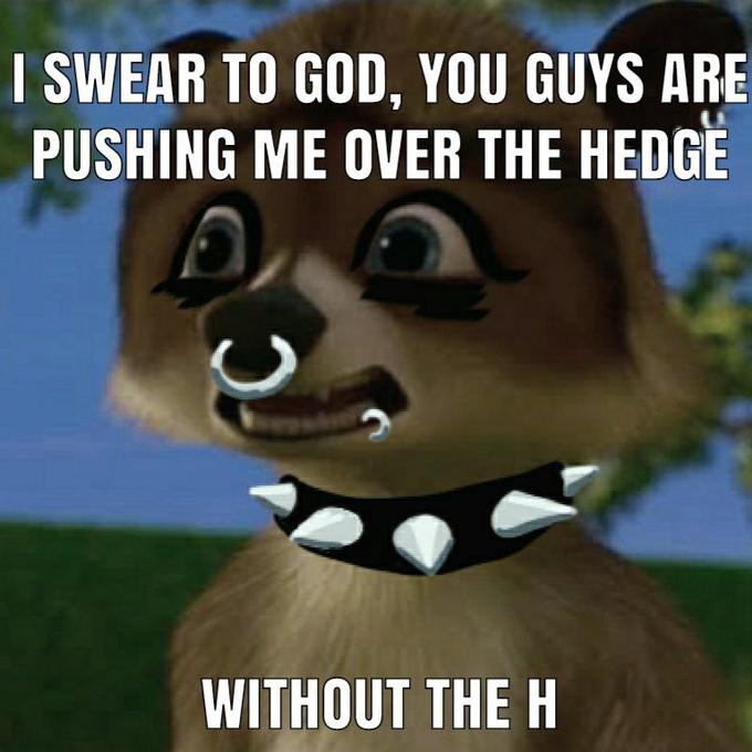 I SWEAR TO GOD, YOU GUYS ARE PUSHING ME OVER THE HEDGE WITHOUT THE H