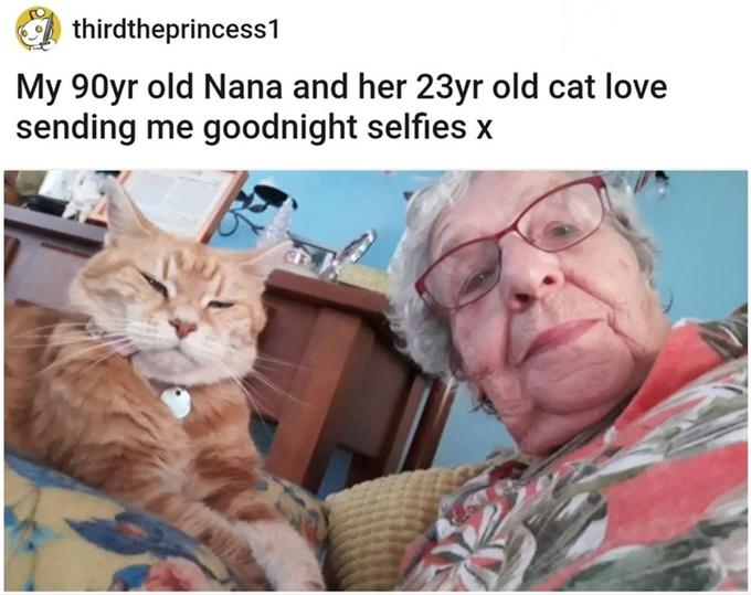 O thirdtheprincess1 My 90yr old Nana and her 23yr old cat love sending me goodnight selfies x