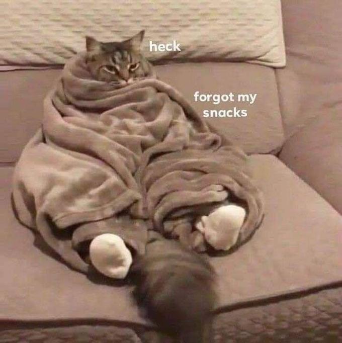 heck forgot my snacks