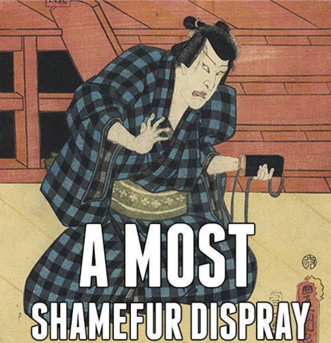 A MOST SHAMEFUR DISPRAY