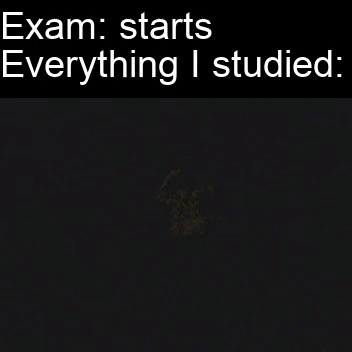 Exam: starts Everything I studied: