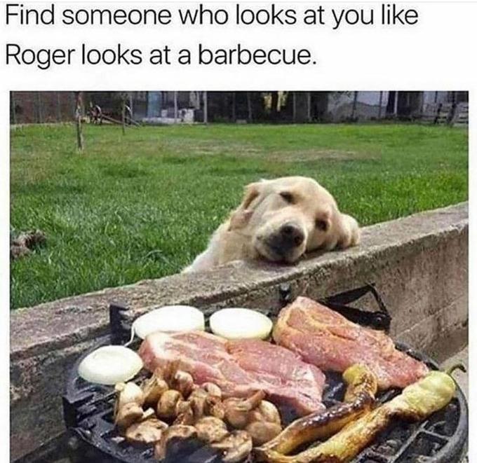 Find someone who looks at you like Roger looks at a barbecue.