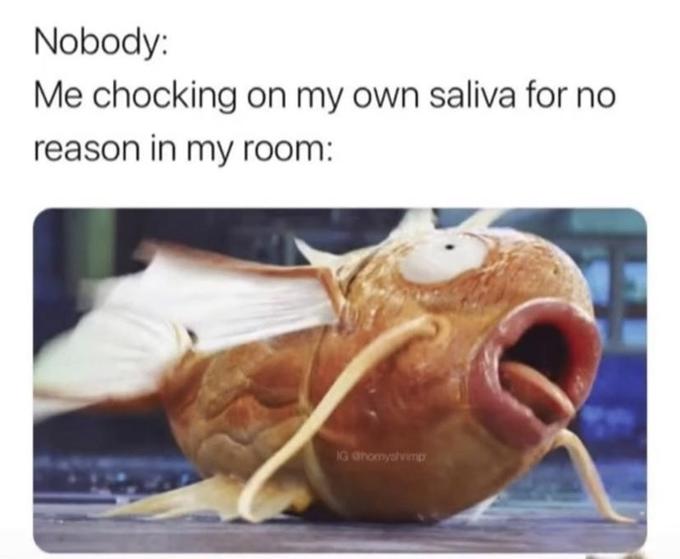 Nobody: Me chocking on my own saliva for no reason in my room: IG ahomyshvmp