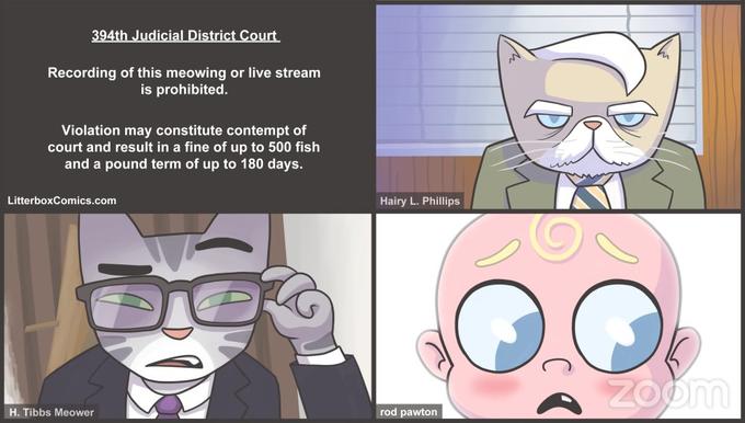394th Judicial District Court Recording of this meowing or live stream is prohibited. Violation may constitute contempt of court and result in a fine of up to 500 fish and a pound term of up to 180 days. LitterboxComics.com Hairy L. Phillips ZOom H. Tibbs Meower rod pawton