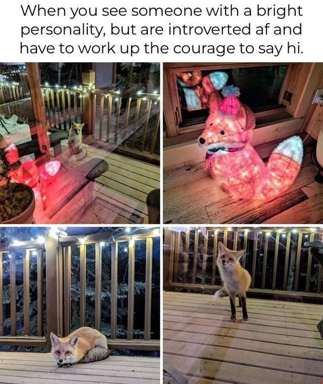 When you see someone with a bright personality, but are introverted af and have to work up the courage to say hi.