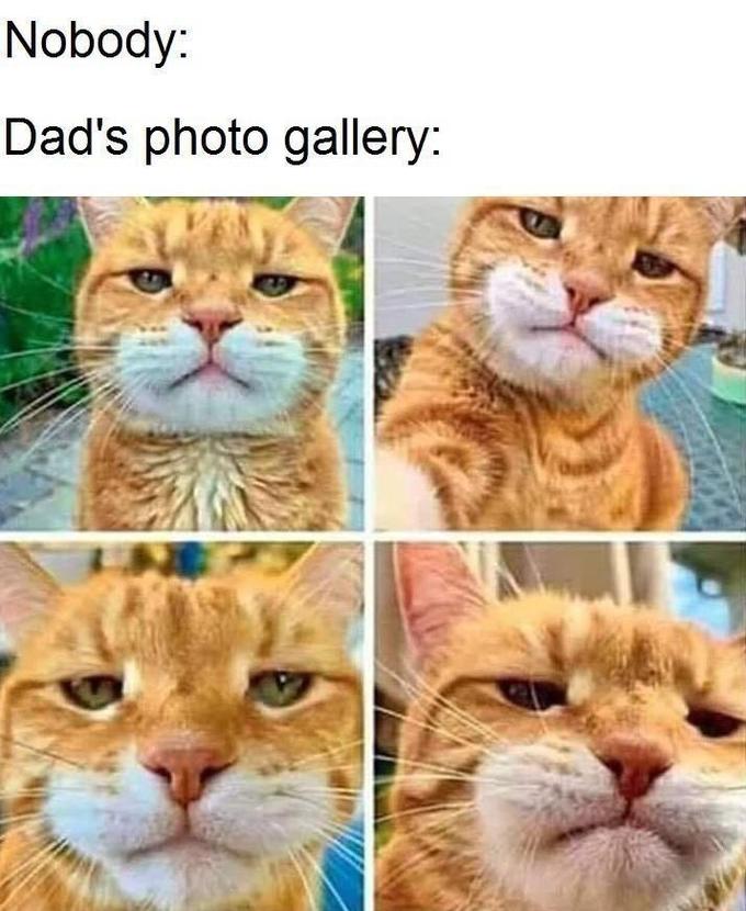 Nobody: Dad's photo gallery: