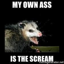 MY OWN ASS IS THE SCREAM menegenerator.net