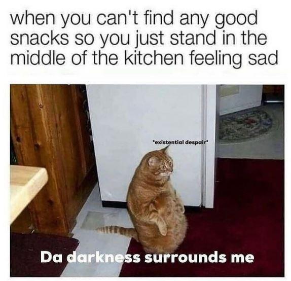 when you can't find any good snacks so you just stand in the middle of the kitchen feeling sad *existential despair Da darkness surrounds me