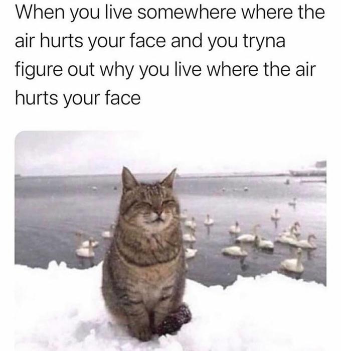 When you live somewhere where the air hurts your face and you tryna figure out why you live where the air hurts your face