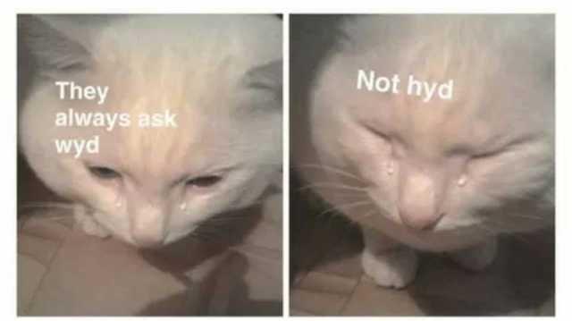 Not hyd They always ask wyd