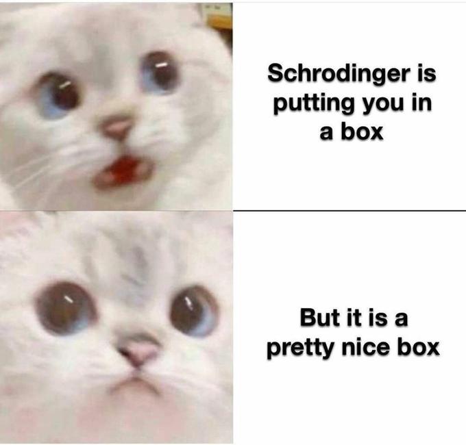 sophisticated cat meme