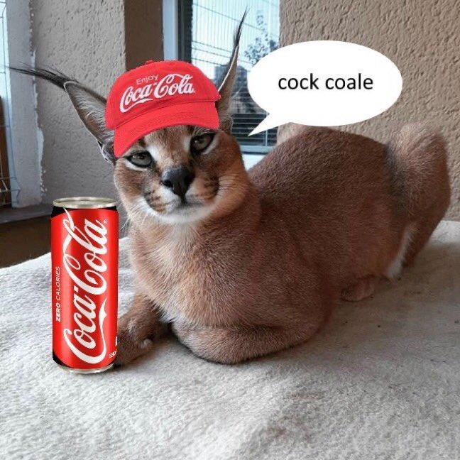 Enjoy Coca-Cola c--- coale ZERO CALORIES Coca-Cola