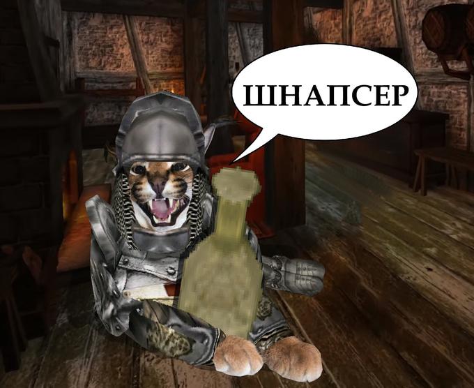 ШНАПСЕР