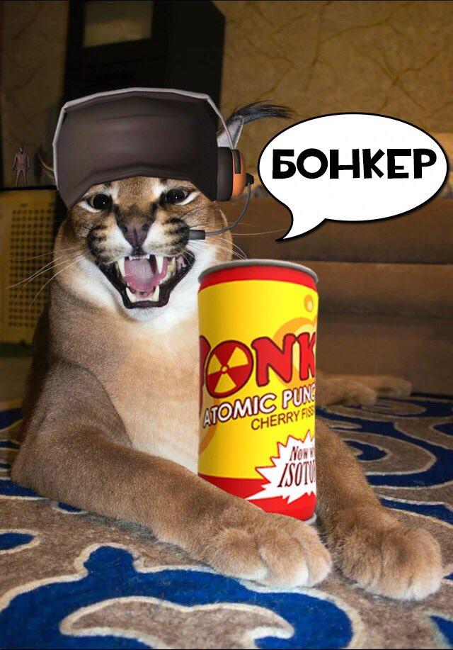 БОНКЕР ATOMIC PUN CHERRY FIS Now ISOT