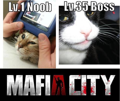 Lv.1 Noob Lv.35 Boss MAFI CITY