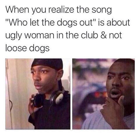 When you realize the song "Who let the dogs out" is about ugly woman in the club & not loose dogs