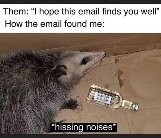 Them: "I hope this email finds you well" How the email found me: *hissing noises*