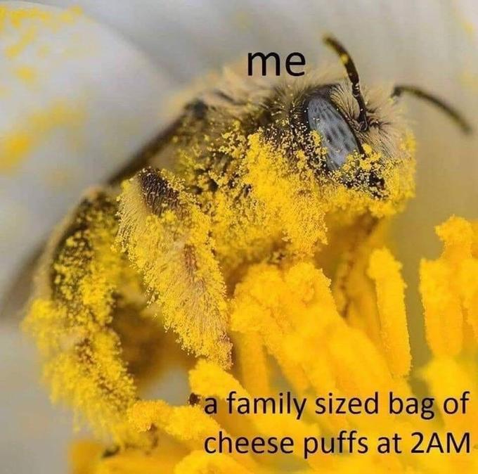 me a family sized bag of cheese puffs at 2AM