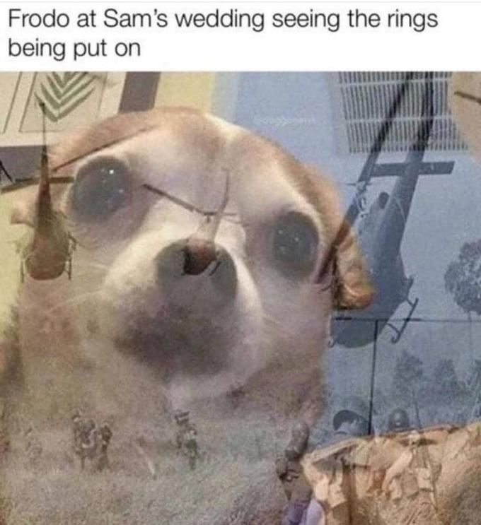 Frodo at Sam's wedding seeing the rings being put on