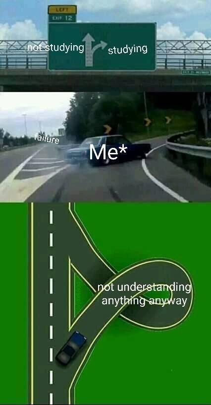 LEFT EXT 12 not studying studying failure Me* not understanding anything anyway