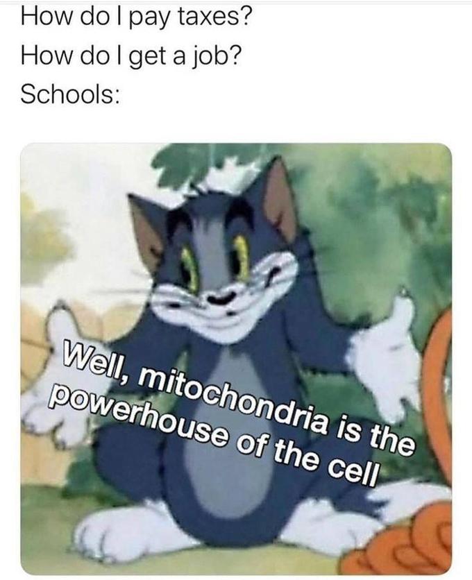 How do I pay taxes? How do I get a job? Schools: Well, mitochondria is the powerhouse of the cell