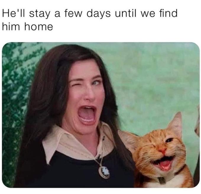 He'll stay a few days until we find him home