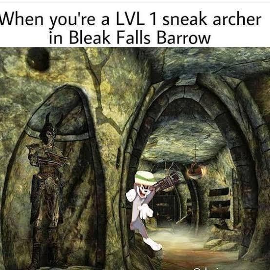 When you're a LVL 1 sneak archer in Bleak Falls Barrow