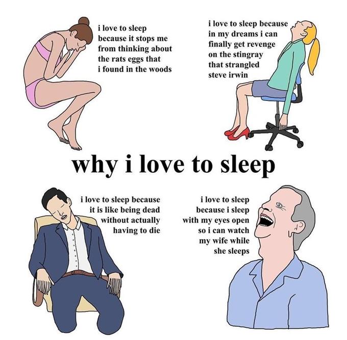 i love to sleep because it stops me from thinking about the rats eggs that i love to sleep because in my dreams i can finally get revenge on the stingray that strangled i found in the woods steve irwin why i love to sleep i love to sleep because it is like being dead without actually having to die i love to sleep because i sleep with my eyes open so i can watch my wife while she sleeps