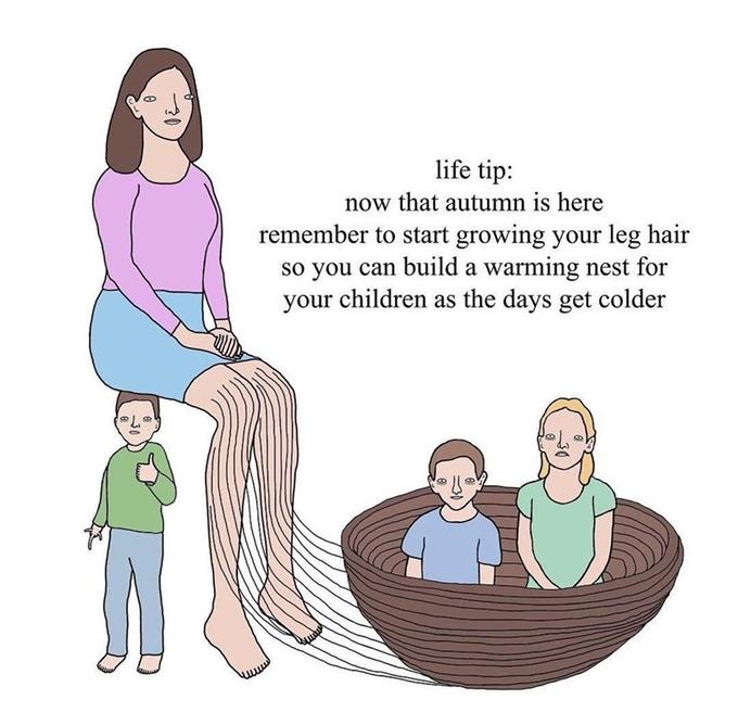 life tip: now that autumn is here remember to start growing your leg hair so you can build a warming nest for your children as the days get colder