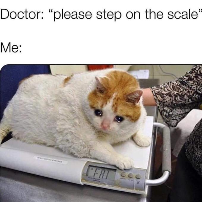 Doctor: "please step on the scale' Me: POCE FRT