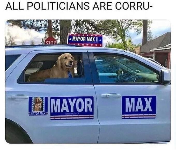 ALL POLITICIANS ARE CORRU- MAYOR MAX II STOP IMAYOR MAX MAYOR MAXE IDYLAWILD. CA