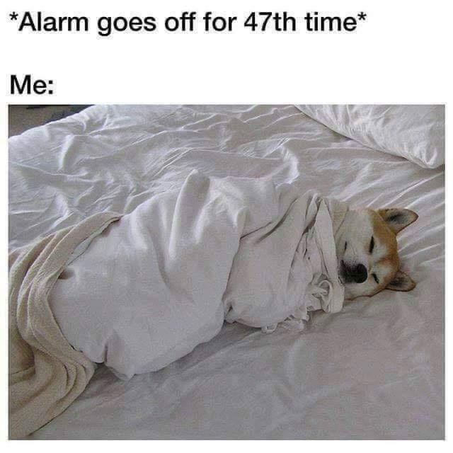 *Alarm goes off for 47th time* Me: