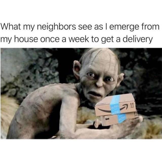 What my neighbors see as l emerge from my house once a week to get a delivery echo cho echo